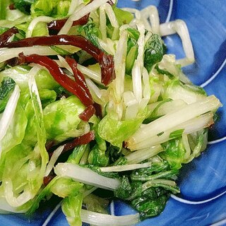 サラダ感覚☆　「春キャベツと水菜浅漬け」